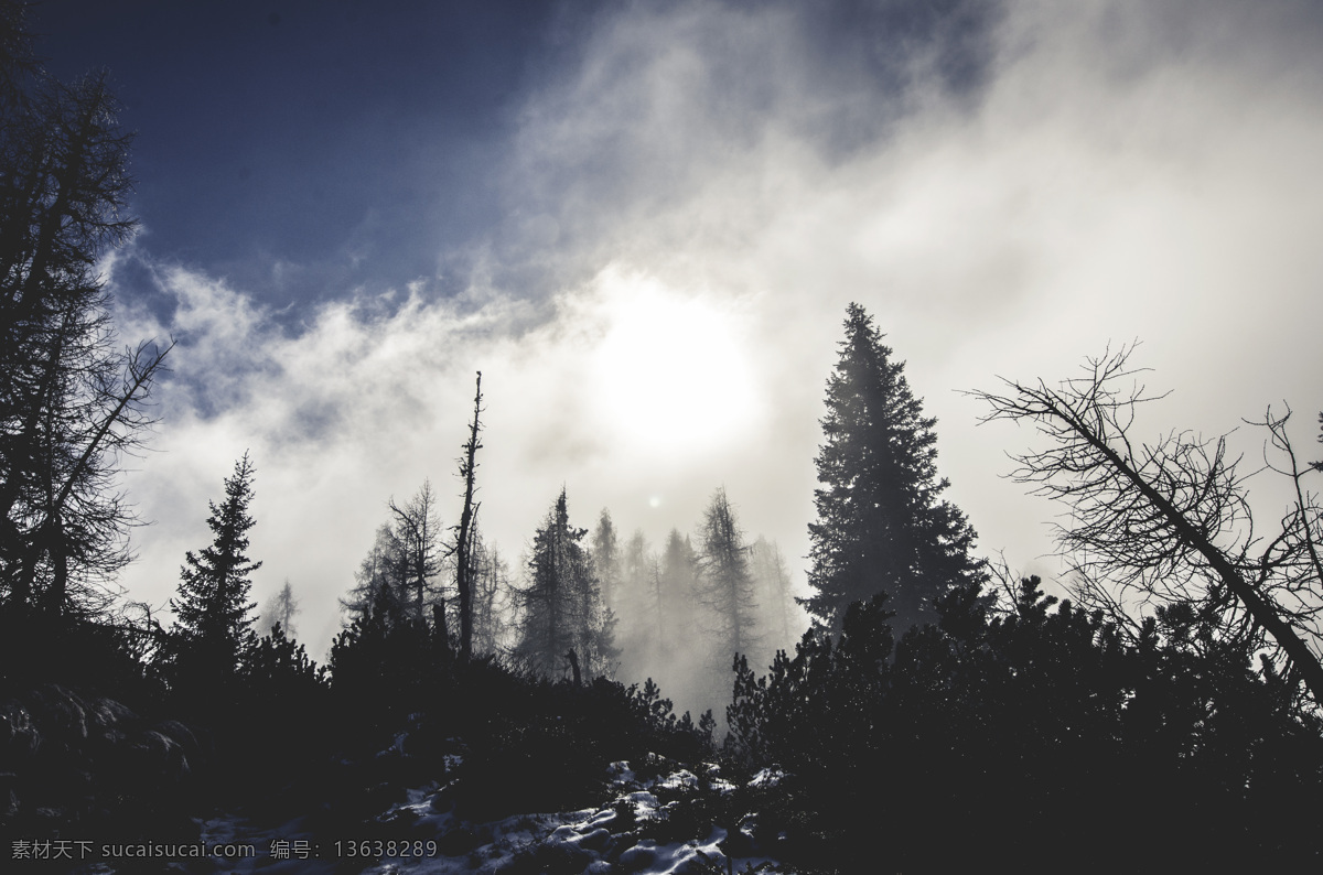 迷雾森林 森林 迷雾 雪山森林 森林冬季 森林摄影 自然景观 自然风景