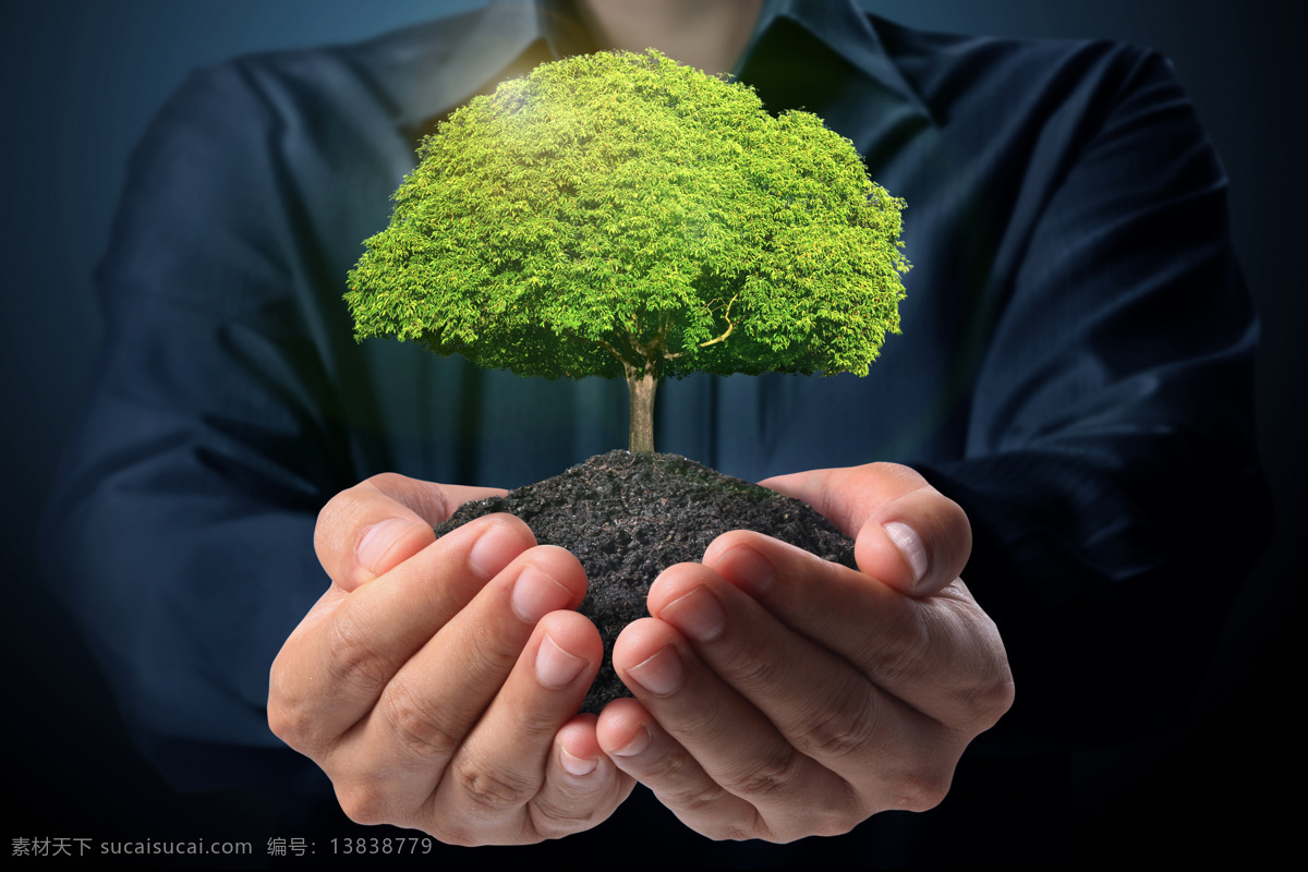 手中 绿色 树苗 手 环保 生态 其他类别 环境家居 黑色