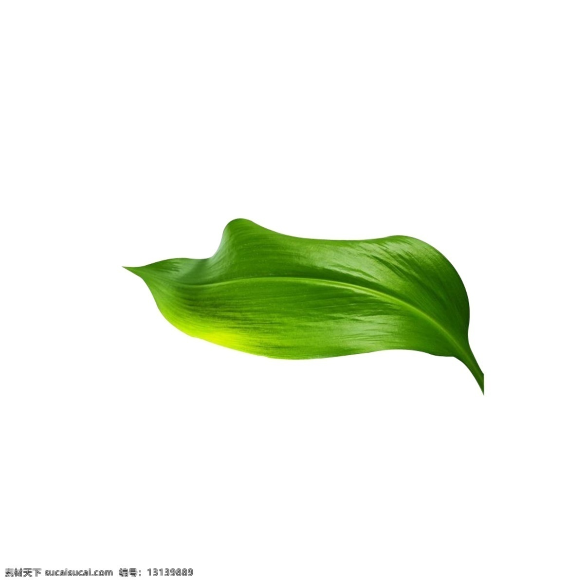 树叶 绿叶 青翠绿叶素材 春季 树木 卡通树叶 植物 点缀素材 底纹边框 彩色树叶 矢量树叶 秋叶 金色树叶 红色树叶 树木树叶 各种树叶 叶子 绿色叶子 枫叶 枫叶素材 树枝 花纹花边 一串树叶 绿色树叶 花卉植物 花草 手绘 时尚 梦幻 梦幻树叶 各种叶子 绿色树叶素材 分层