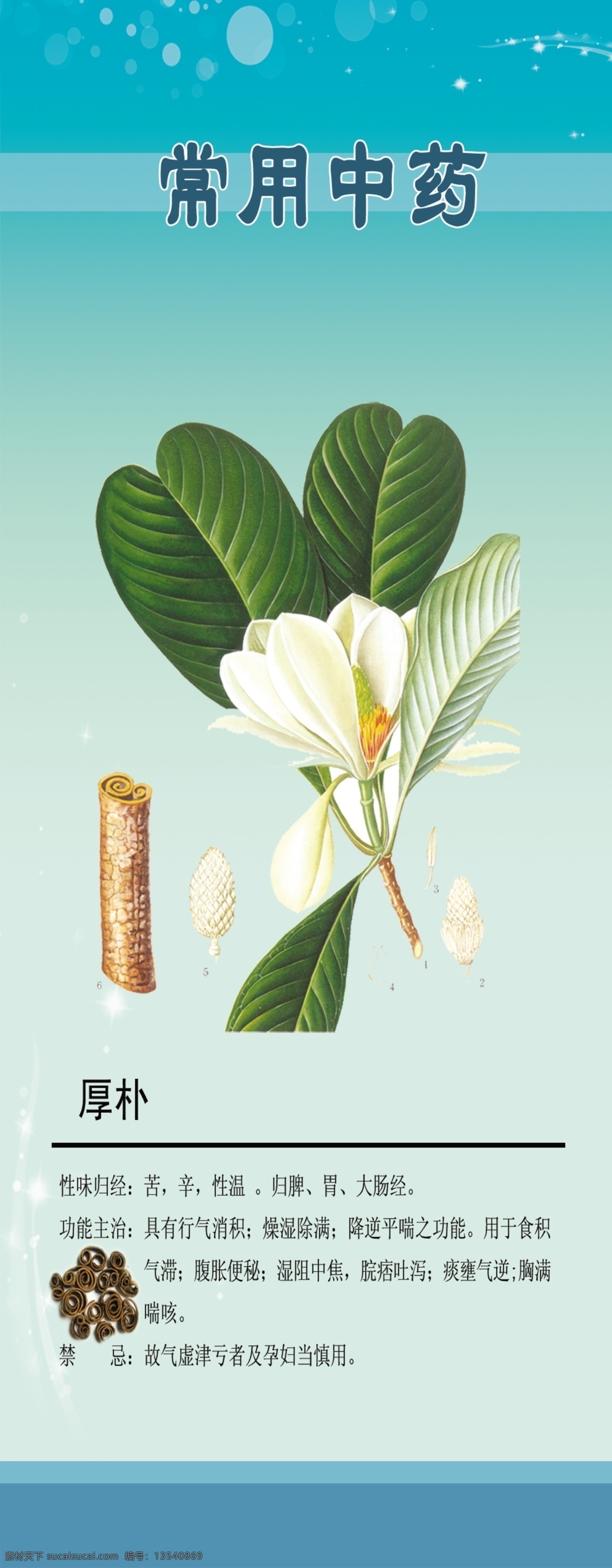 中药材 展板 分层 禁 源文件 常用中药 厚补 厚补图片 性味归经 功能主治 忌 常用 中草药 图文 其他展板设计