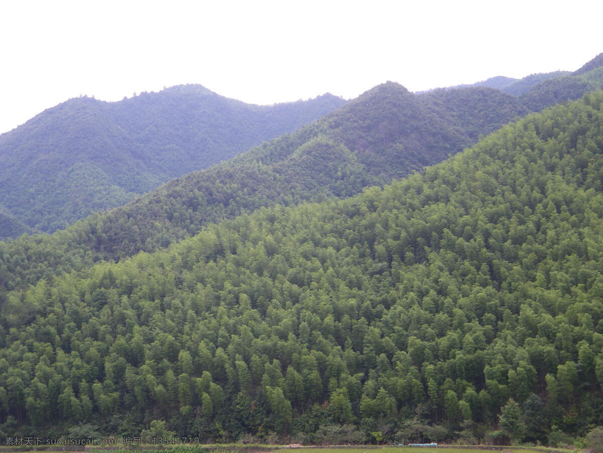 山景 绿山 山水风景 树林 竹 自然景观 竹山 矢量图 日常生活