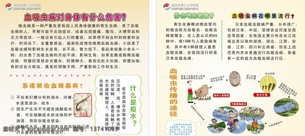 血吸虫病 健康 宣传 途径 教育栏 海报