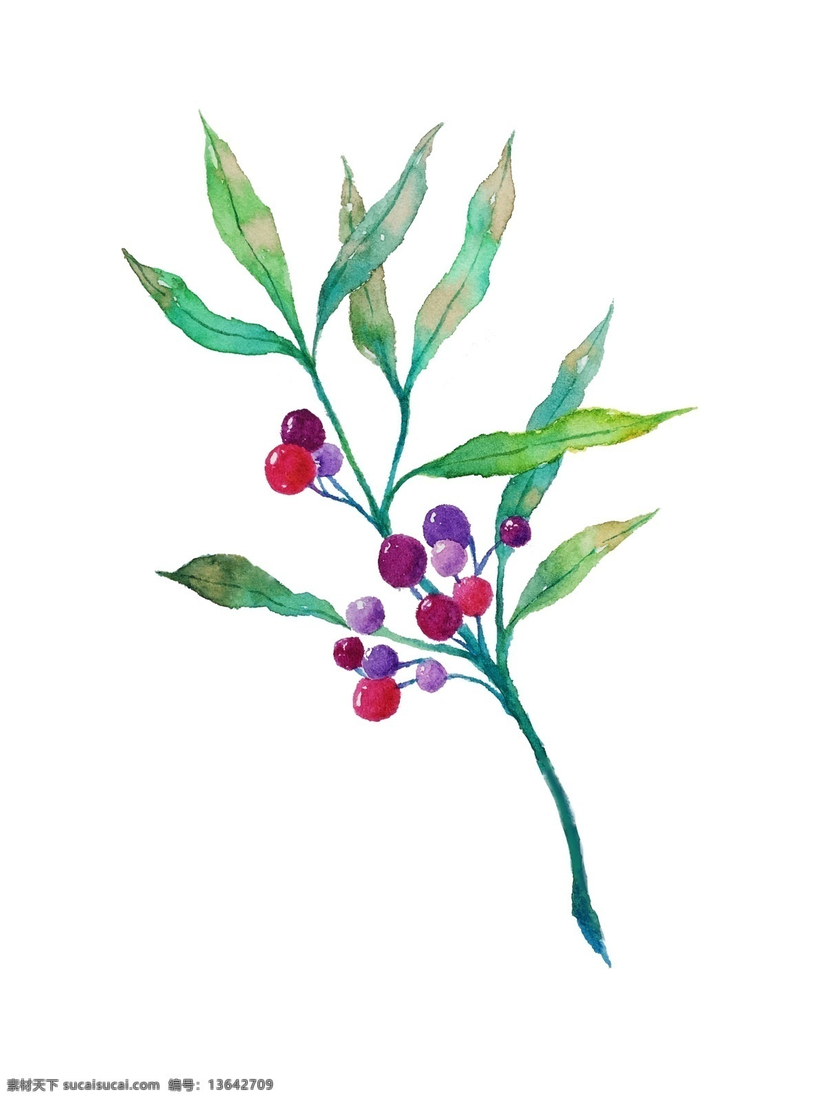 红色 马蹄莲 手绘 插画 红色花朵 花蕊 植物 手绘植物 马蹄莲插画 手绘花朵 唯美花朵
