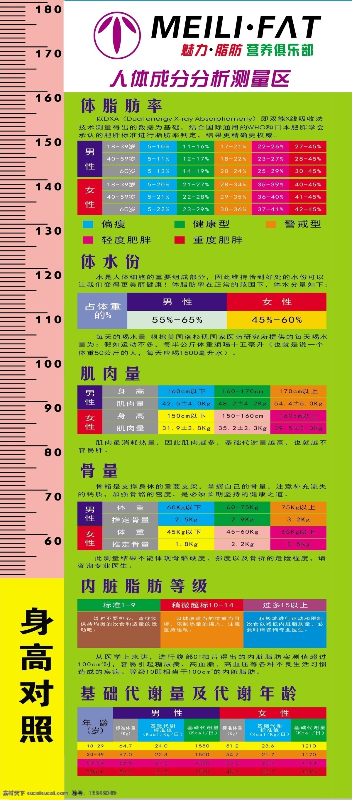 身高尺 分析测量区 健康 脂肪率 肌肉量 海报 展架 喷绘