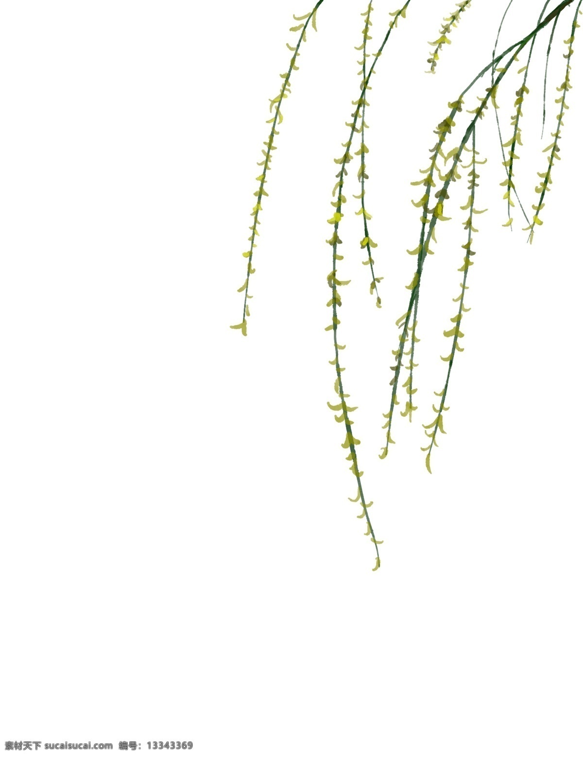 清明节 漂浮 柳叶 手绘 漂浮柳叶 柳树 手绘风吹柳叶 清明节装饰 柳枝 柳条 清明节海报
