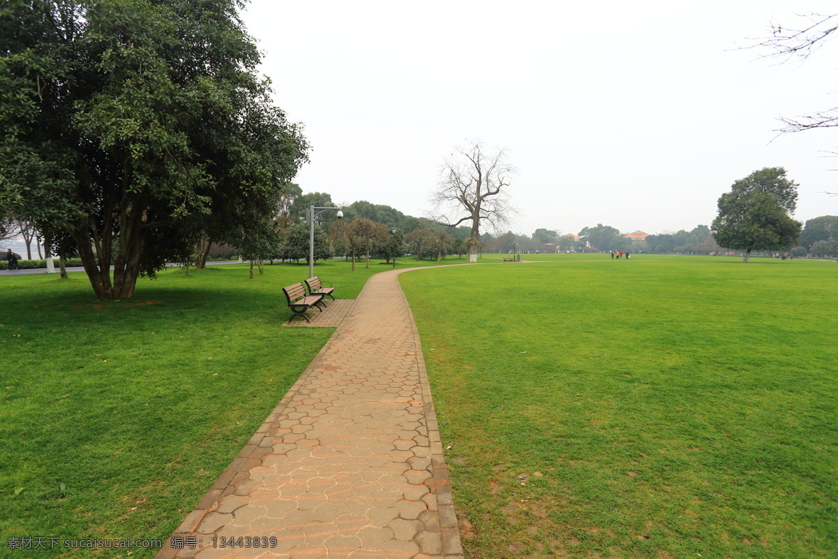 绿地 绿草地 草坪 公园 公园绿地 公园草坪 橘洲公园 橘子洲 风景 自然景观 自然风景