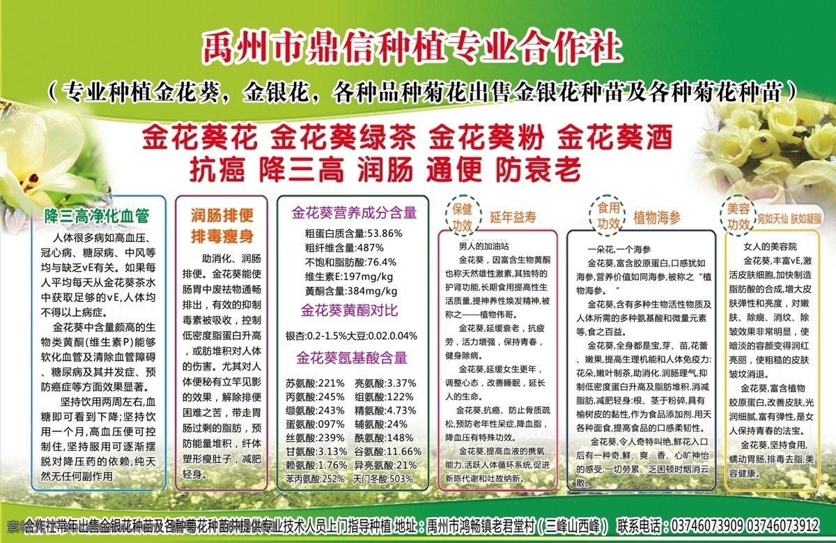金花葵 功效 花 版面 背景 绿色 标志图标 企业 logo 标志