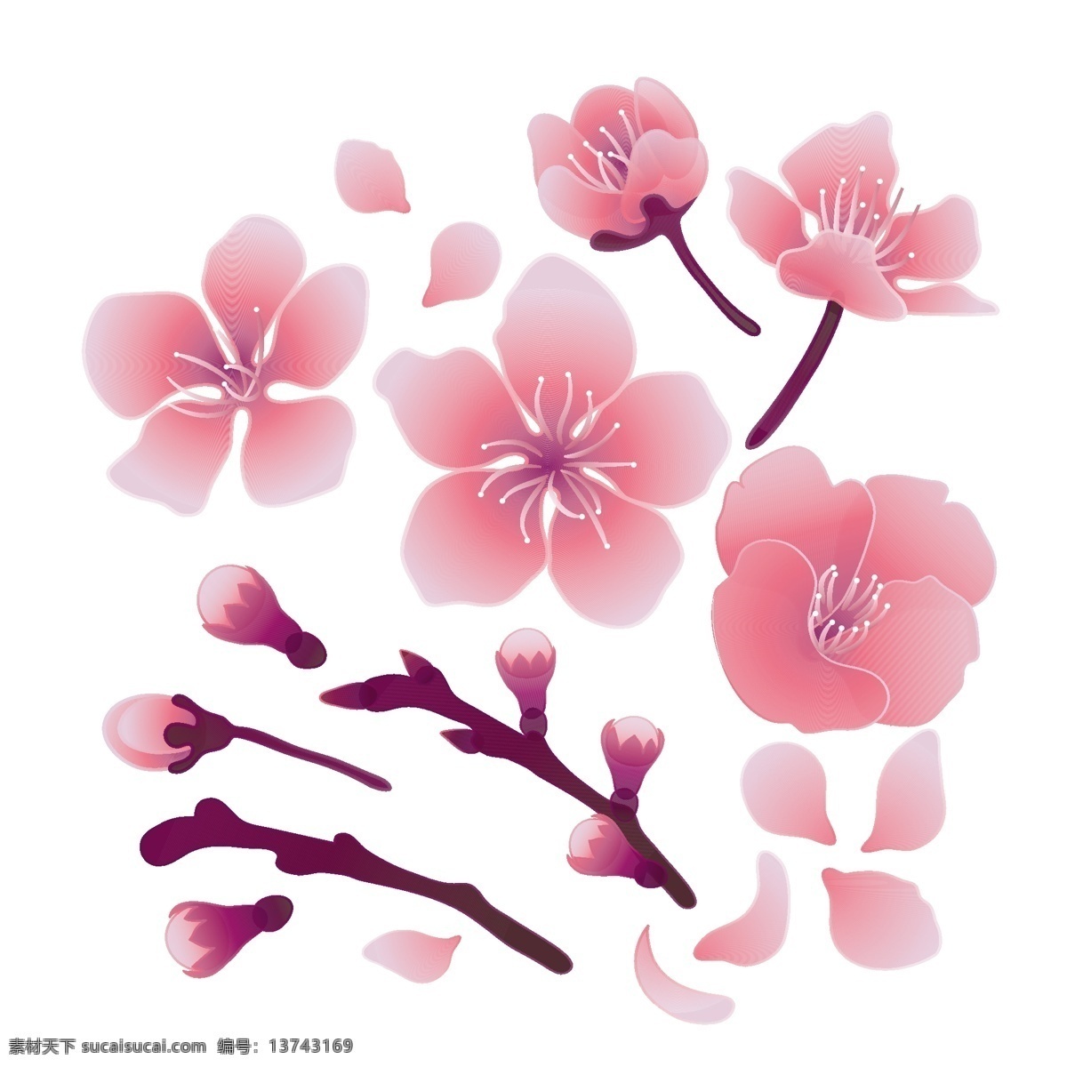 浪漫樱花 樱花节 樱花 樱花海报 樱花树 樱树 花卉邀请函 邀请函 鲜花 花纹 花卉 花环 花朵 情人节日 卡片 情人节 婚庆请帖 婚礼请柬 梅花 红梅报喜 梅开五福 红梅 梅花盛开 花 手绘花草 卡通樱花 卡通花草 花绘卡片 花卉水彩 水彩花朵 手绘花 花卉背景 主题迎宾牌 鲜花促销 花朵插画 矢量插画 生物世界 花草