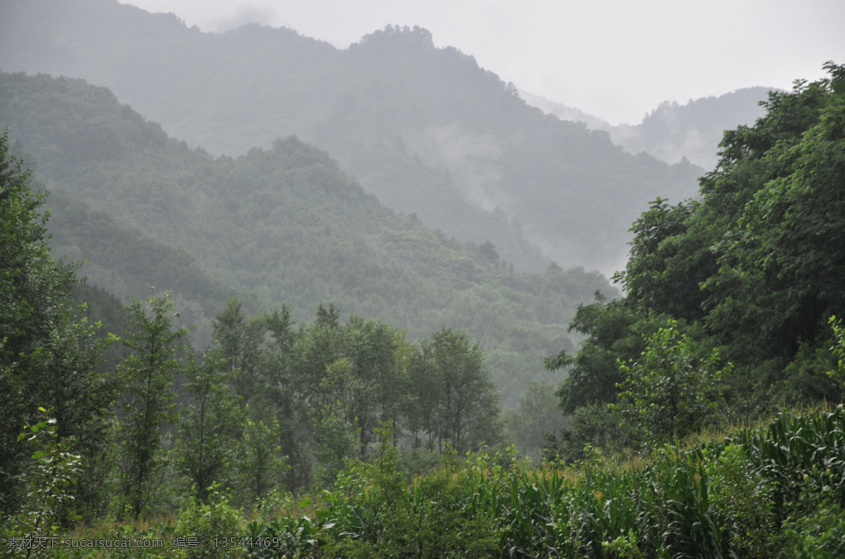 云雾山中 云雾 山林 远山 自然风景 自然景观