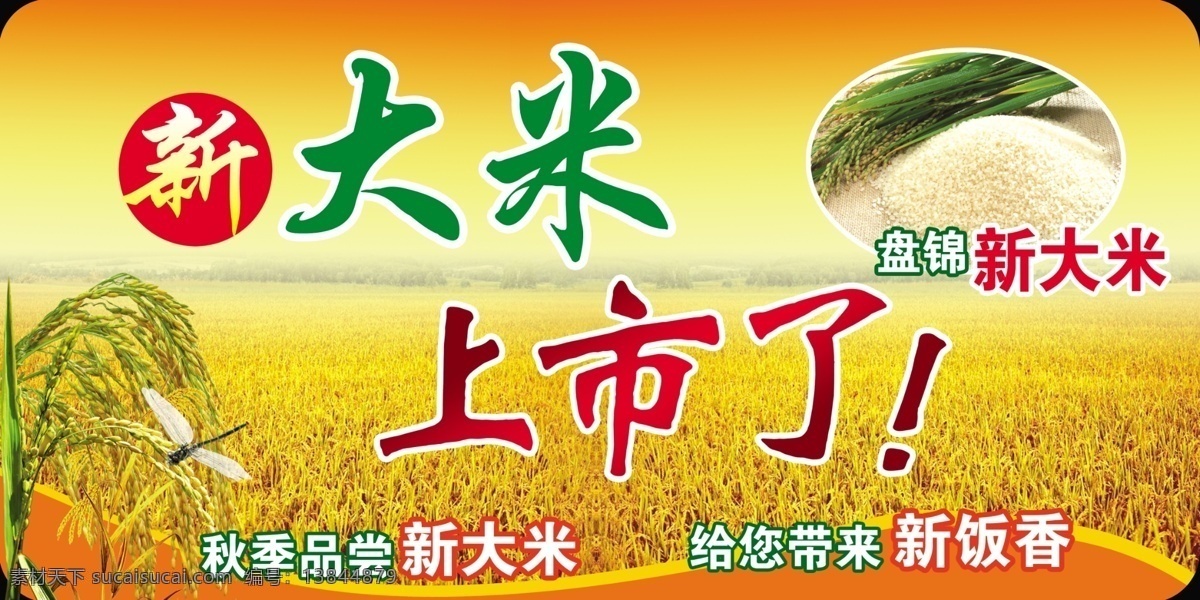 大米 新大米 新米 上市 稻田 稻税 分层 源文件
