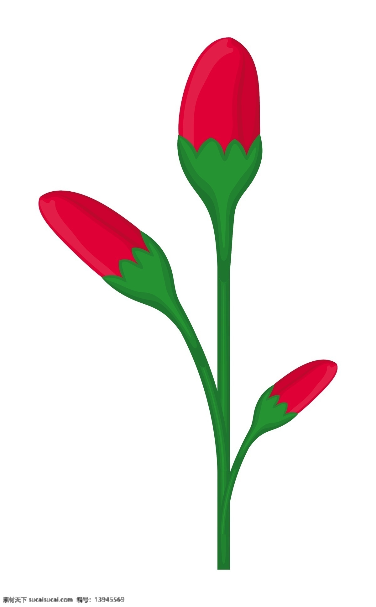 花芽向量 白色
