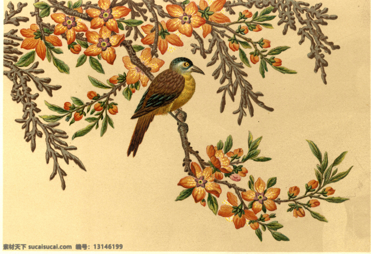 工笔花鸟 孔雀 油画 装饰画芯 墙面装饰 酒店装饰画 客厅 玄关 客厅绘画 油画装饰 绘画艺术 装饰 高清素材 装饰画 位图 文化艺术 绘画书法 美术绘画
