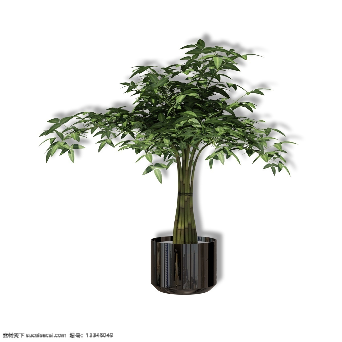 黑色 花盆 大型 盆栽 绿植 陶瓷 盆景