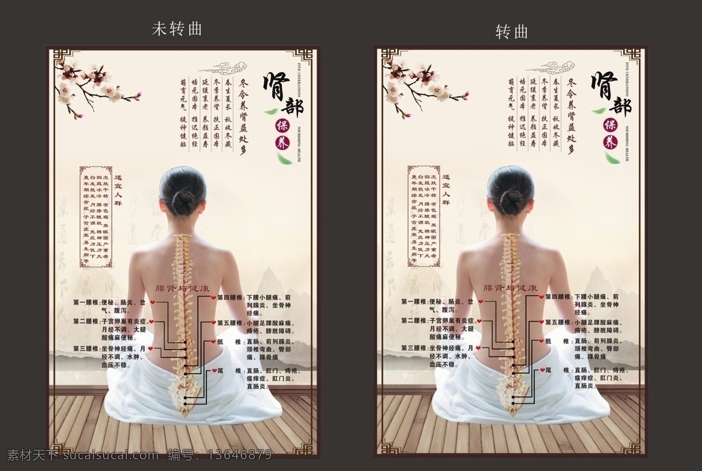 肾部保养展板 肾部 腰部 保养 中医 养生 spa 美容 女性健康 亚健康 健康 展板 活动 女性 人体 穴位 海报 展板模板