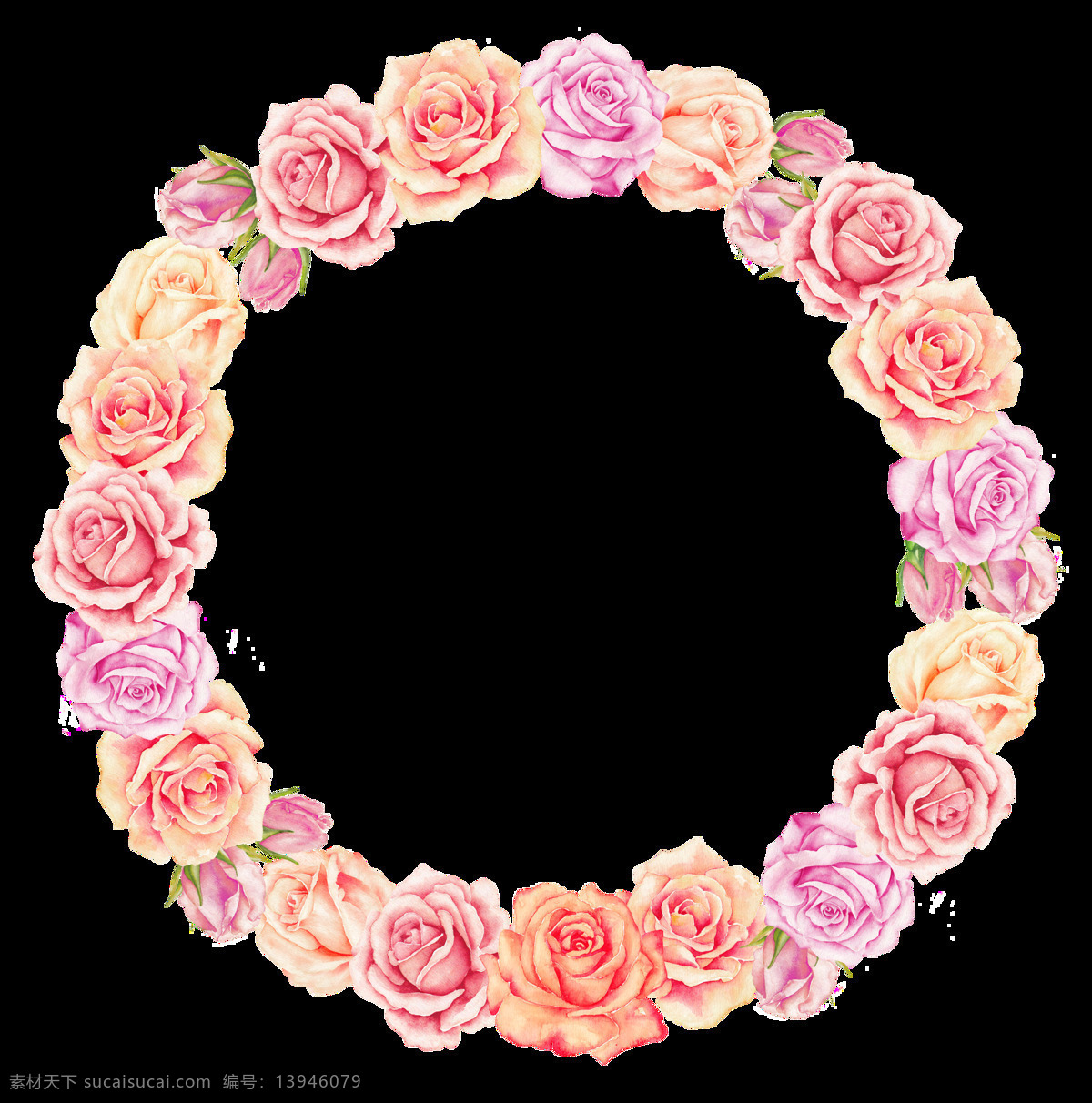 手绘 玫瑰 花环 透明 圆圈 玫瑰花 粉红色 香槟色 透明素材 免扣素材