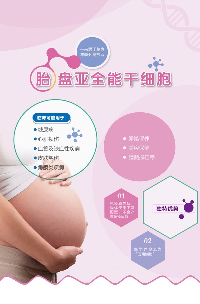 胎盘 亚全能干细胞 母婴 展板 海报 孕妇