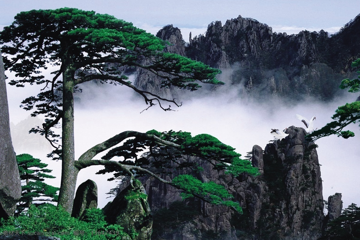 迎客松 松树 花草 蓝天 白云 大山 山水画 挂画 分层