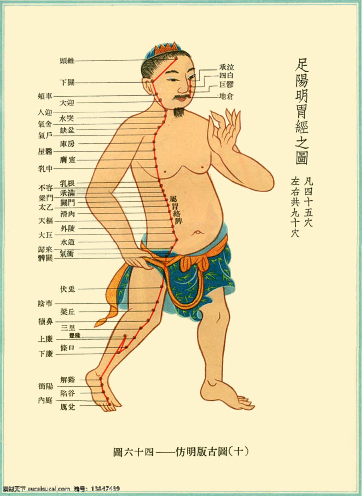 足 阳明 胃 经络 图 十二经脉 针灸 足阳明胃 中医 传统文化 文化艺术
