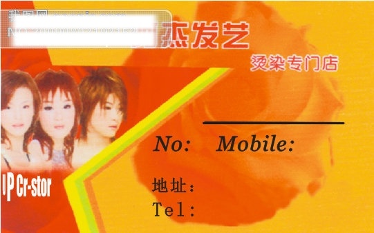 美容美发 背景图 矢量 美发 美容 矢量图 名片 模板 名片设计 名片卡 广告设计名片