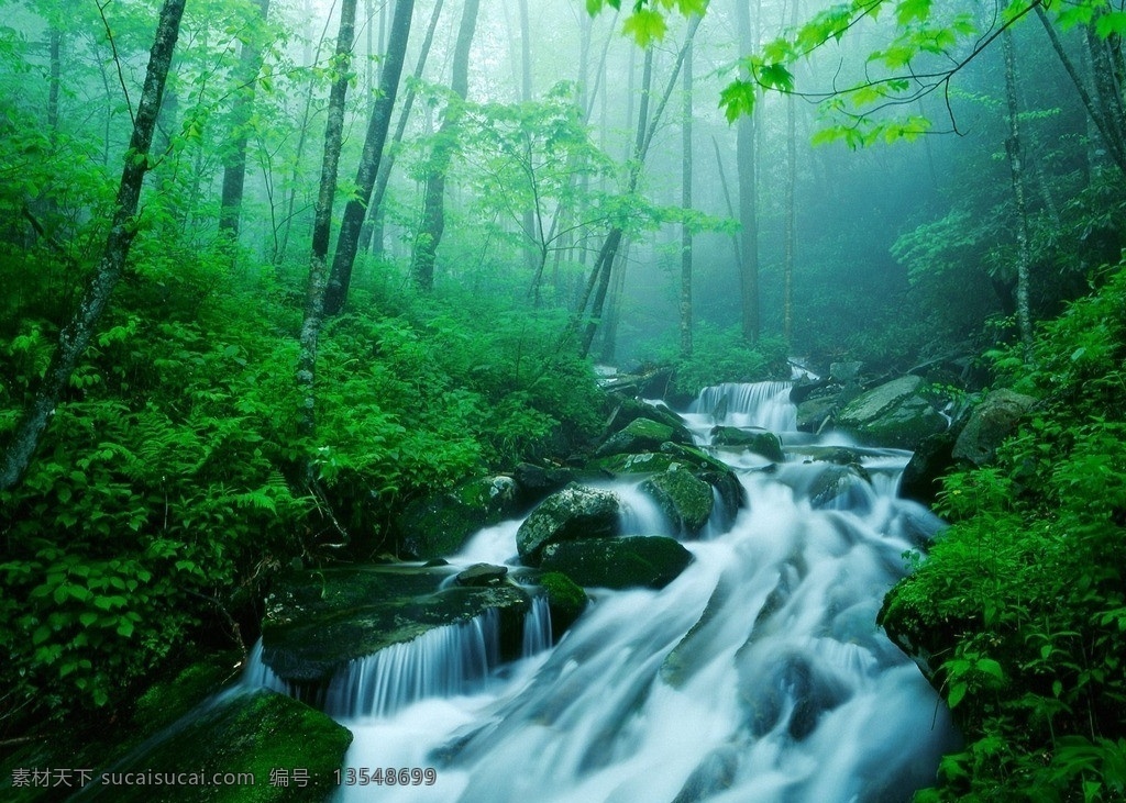 山间小溪 自然风景 大自然 风景如画 风景壁纸 树林深处 山水风景系列 山水风景 自然景观