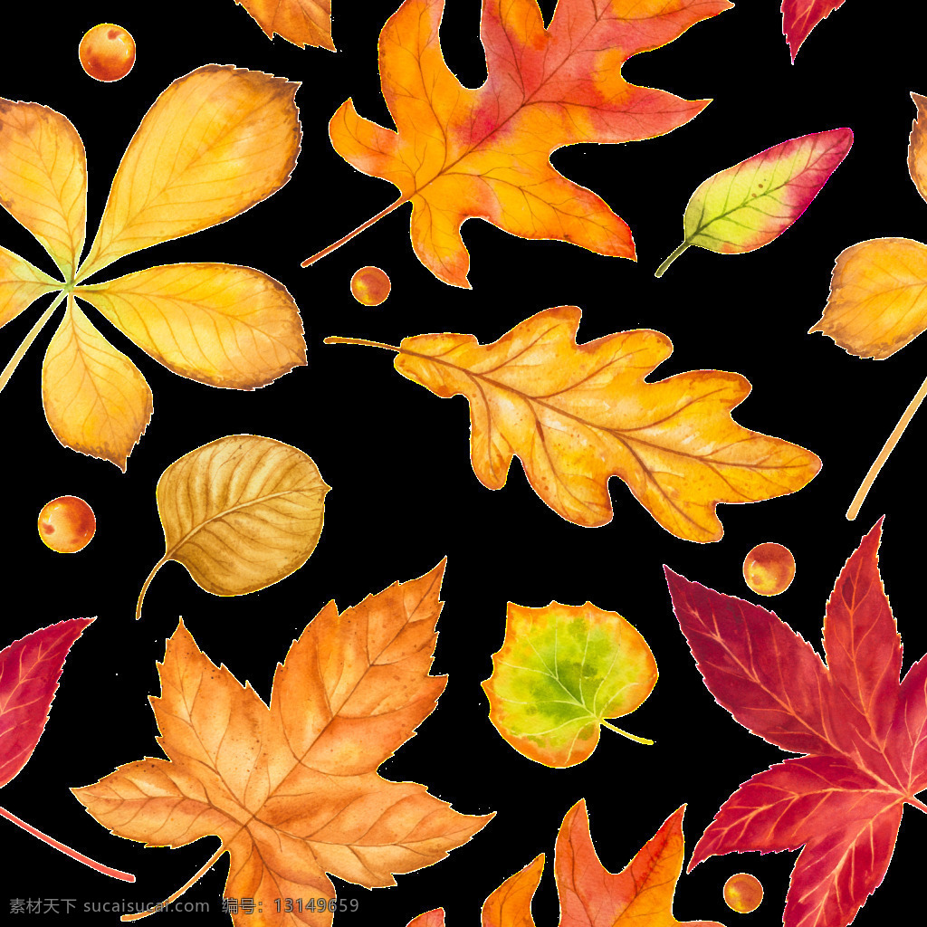 手绘 秋季 树叶 落叶 矢量 枫叶 红色 黄色 平面素材 设计素材 矢量素材 植物