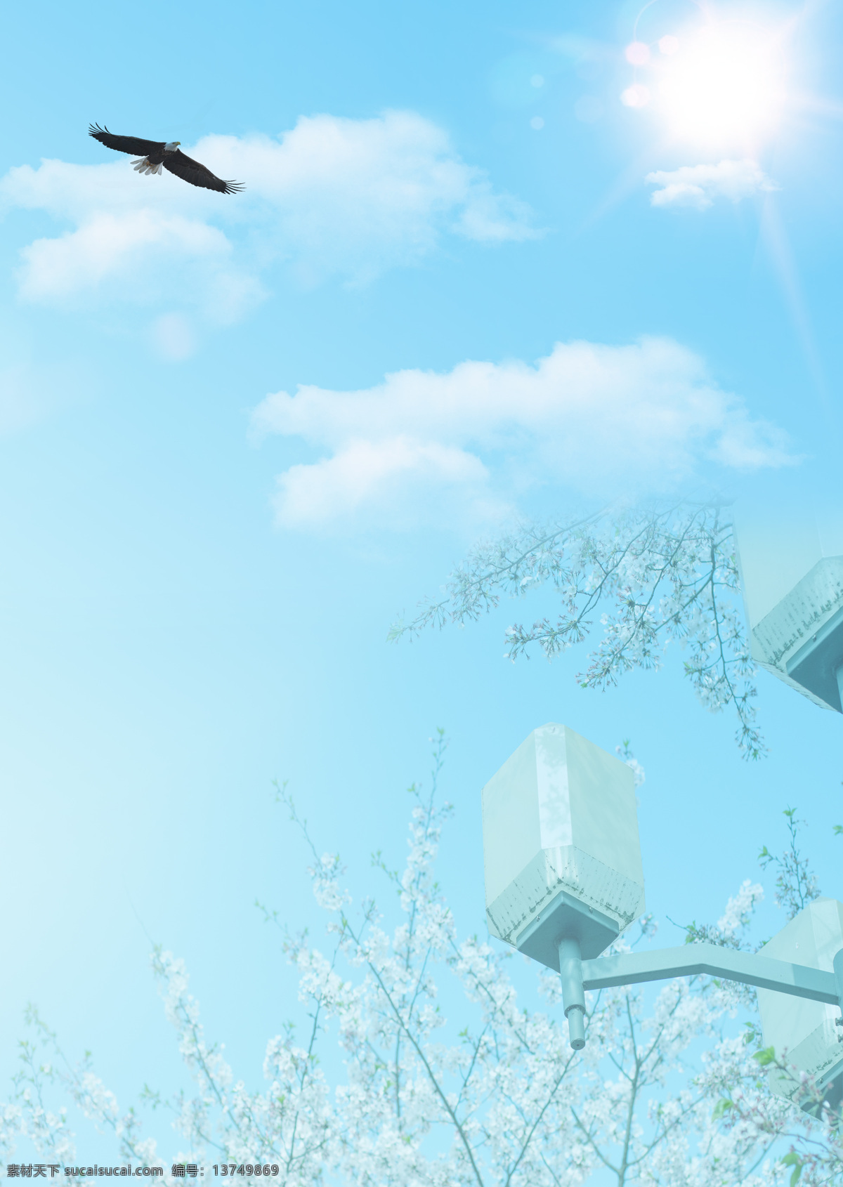 蓝天 白云 樱花 背景 背景图 阳光明媚 好天气 手机背景 晴空万里 晴天 自然景观 自然风光
