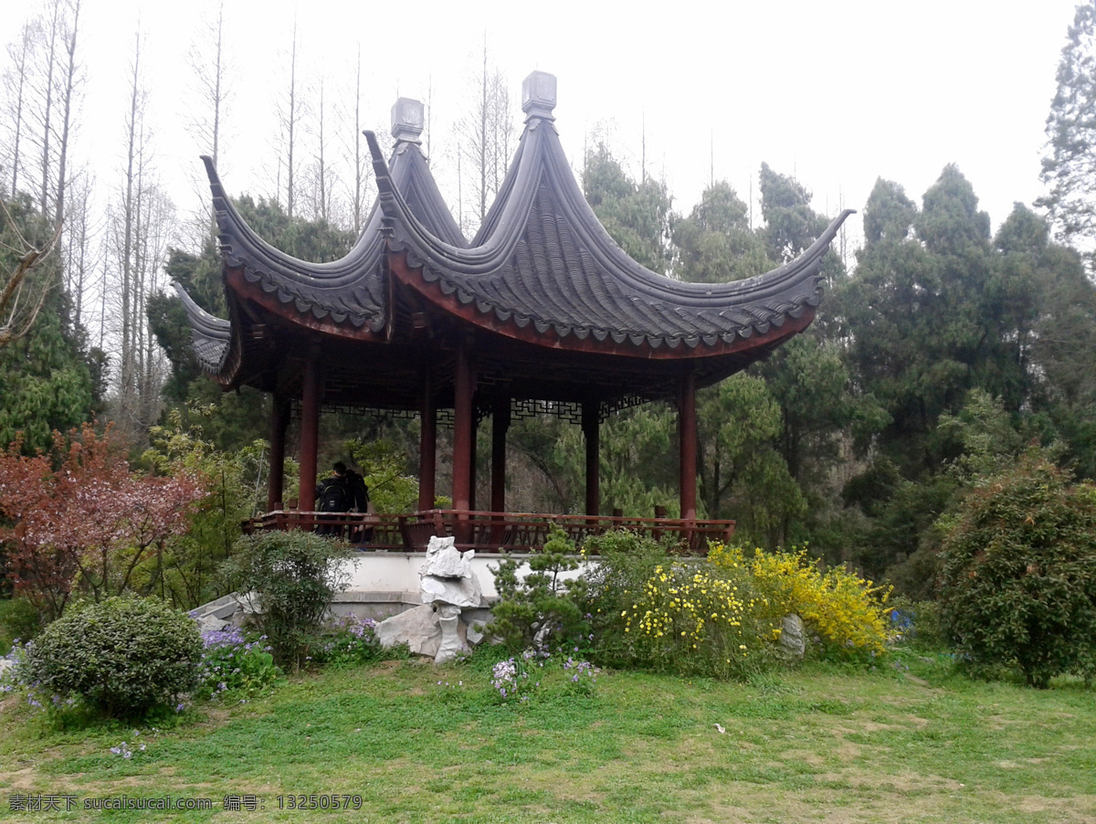 春天 公园 旅游摄影 绿色草地 树枝 亭子 鲜花 植物园 古老的亭子 自然风景 psd源文件