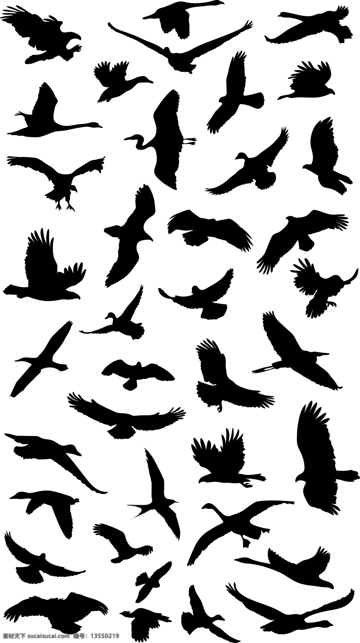 飞行 鸟类 剪影 矢量 图形 web 包 创意 高分辨率 海鸥 接口 免费 时尚的 现代的 独特的 原始的 质量 新鲜的 设计新的 清洁 hd 元素 用户界面 ui元素 详细的 人工智能 病 媒 生物 鹰 鸭 起重机 苍鹭 集 向量 矢量图