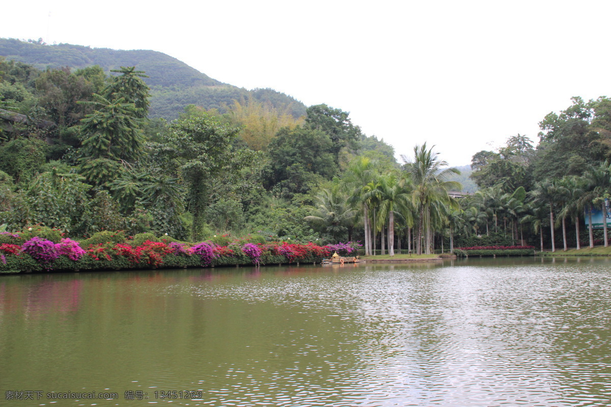 森林公园 亚热带 雨林 青山绿水 公园 自然 旅游摄影 自然风景