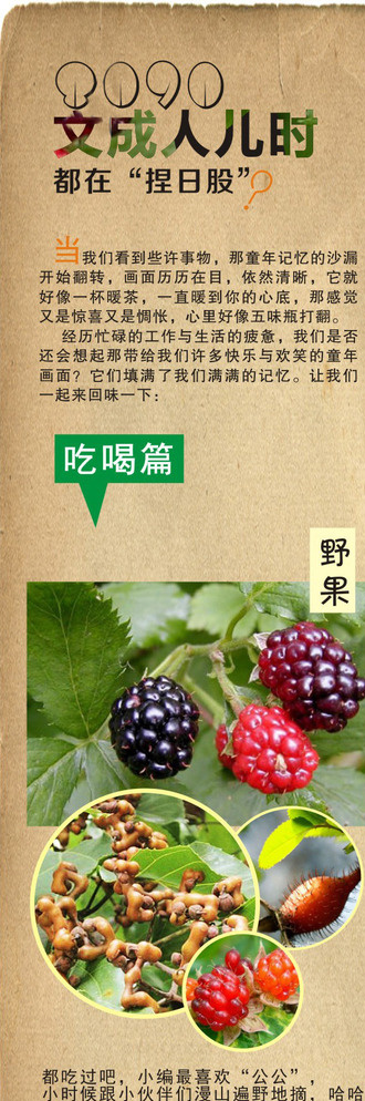 儿时 吃喝玩乐 记忆 录 儿时记忆素材 复古图片 野果篇 动画片 儿时饮料 儿时冰棍 儿时零食 儿时手枪 儿时电视 儿时文具 玻璃珠 游戏机 写字板 茅莓 桑葚 黄色