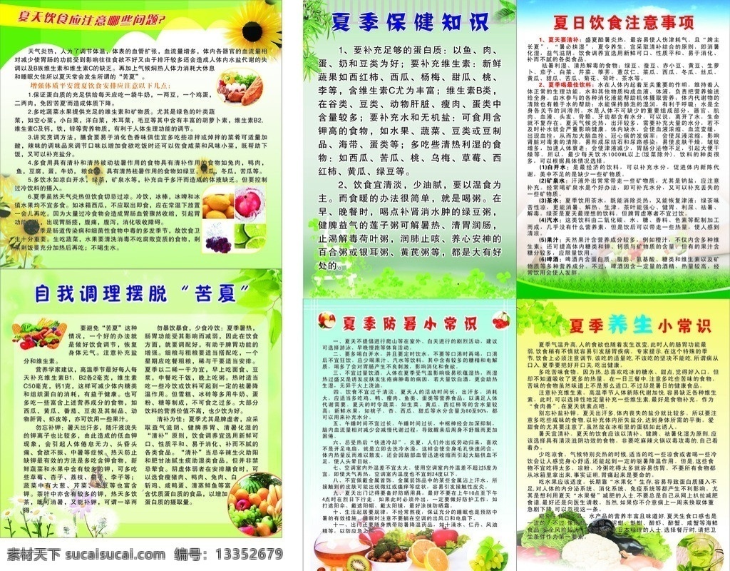 夏季饮食文化 保健知识 养生小常识 防暑 饮食 饮食文化 夏季 水果 矢量