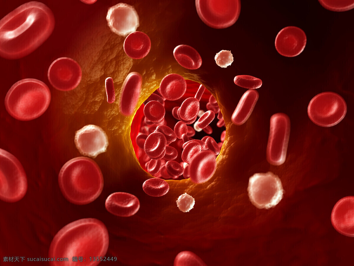 血球 细胞 血细胞 血红蛋白 医疗科学 细胞图片 现代科技