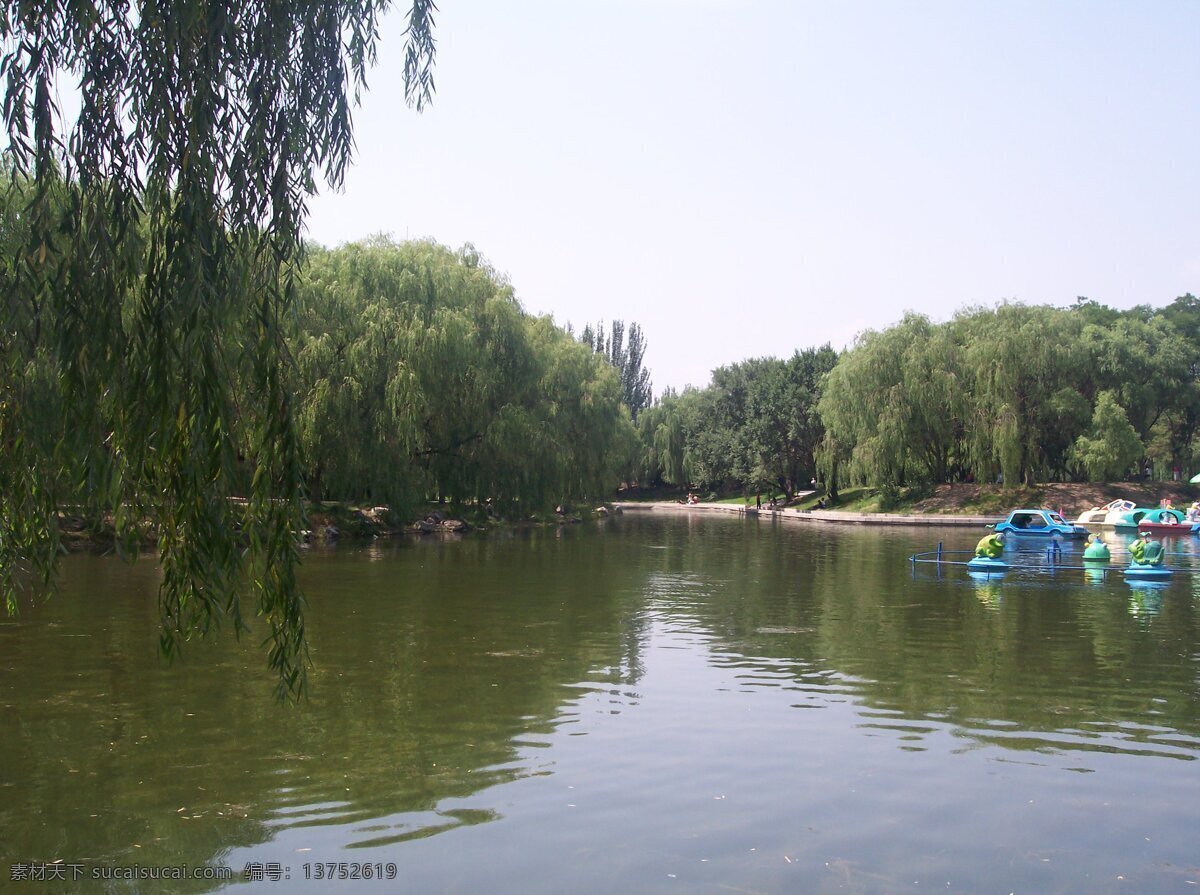 呼和浩特 满都海 公园 湖水 船 垂柳 公园风景 公园风景图片 湖水风景 柳树 风景 生活 旅游餐饮