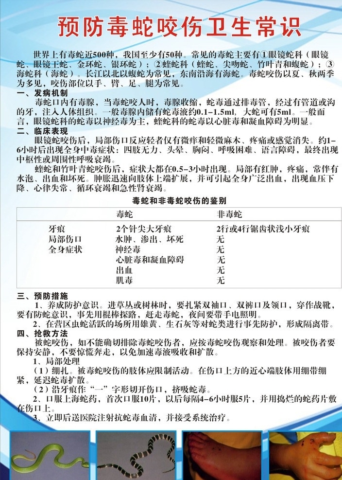 卫生常识 毒蛇咬伤 毒蛇常识 常识 卫生 生活百科 矢量