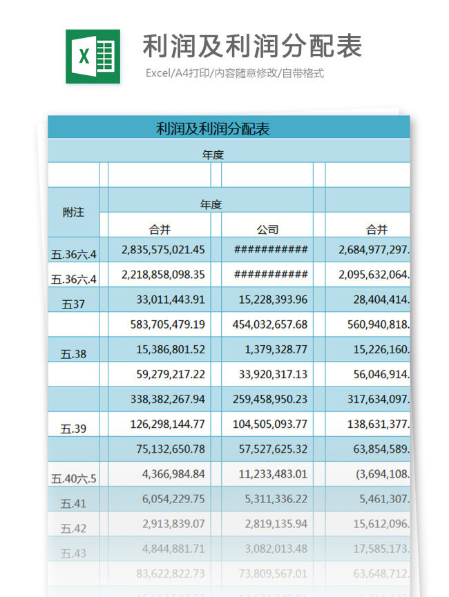 利润 分配 表 表格 编制 股利