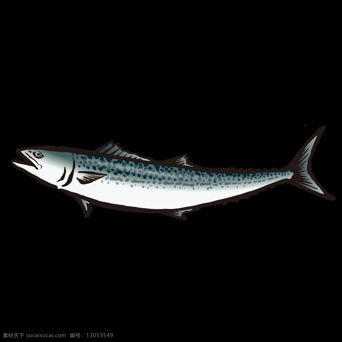 金枪鱼 水彩 绘画 海鱼 鱼类 海产 图案 鱼 海鲜 海洋生物 水产 食物 手绘 颜料 小清新 包装图案 卡通 生物世界