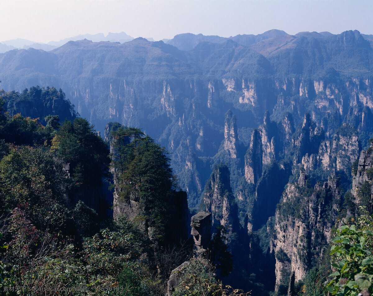 陡峭 高山 景色 岩石 烟雾 云海 松树 青松 自然景观 高清图片 山水风景 风景图片