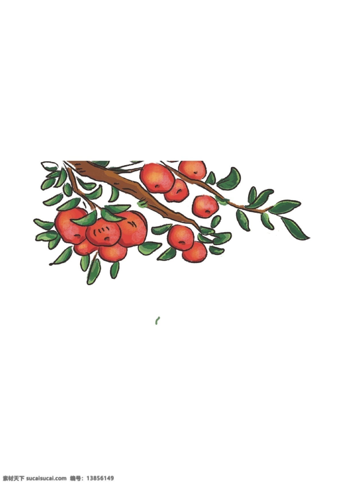 苹果 树叶 苹果树 红苹果 枝叶 手绘 手写板 素材分层文件