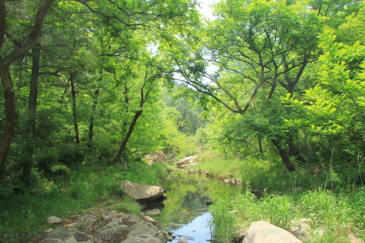 自然风景写真 自然 流水 河流 草地 树林 天空 树叶 植物 阳光 树 树枝 风景 自然风景 美丽风景 风景摄影 自然景观 山水风景