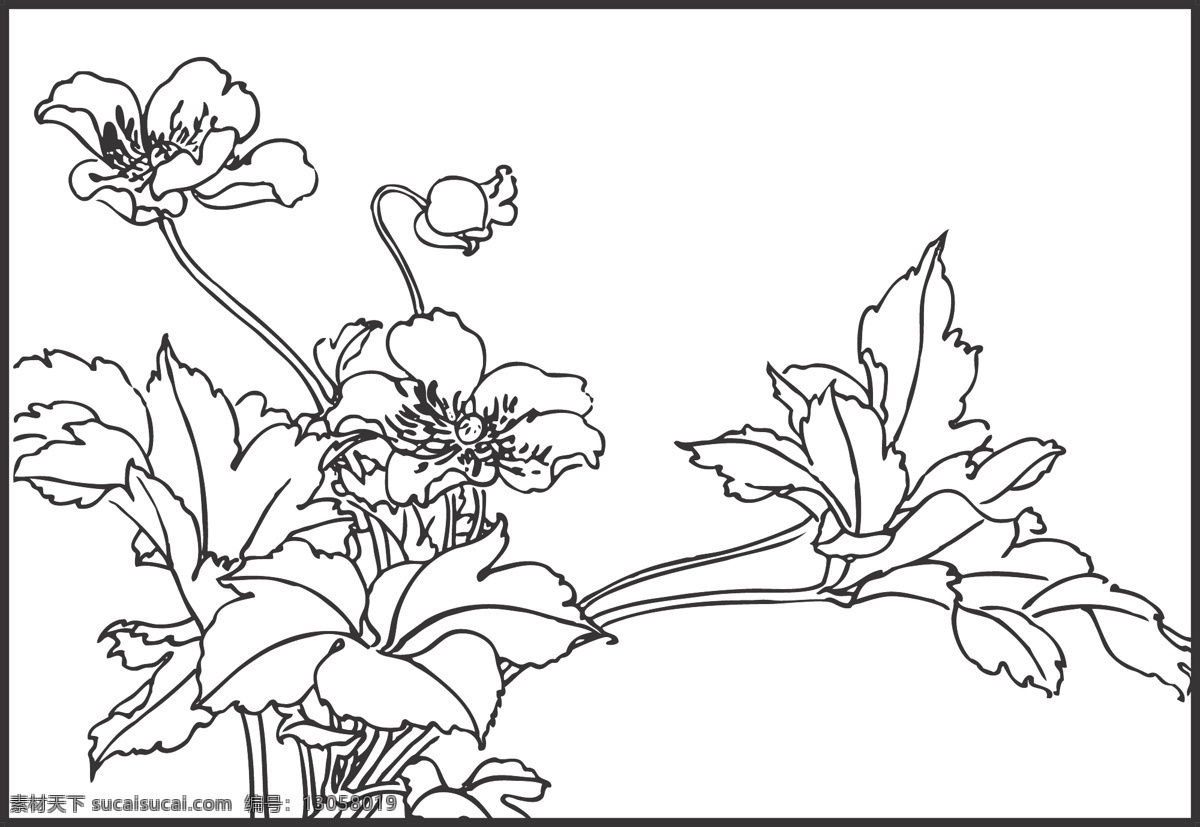 线条 矢量 装饰 插画 白描 植物 观赏 绘画 花卉白描图 文化艺术 绘画书法