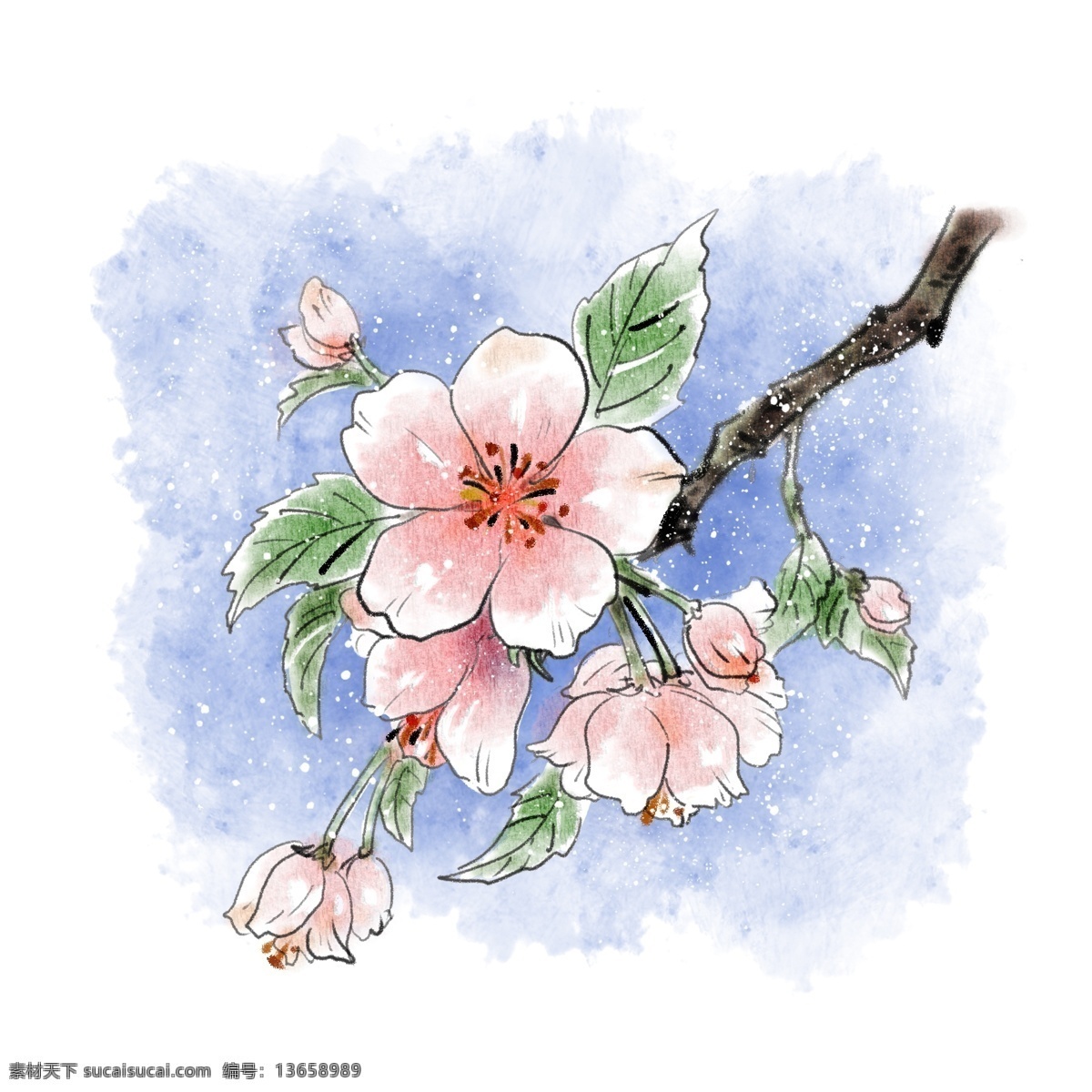 水彩 樱花 植物 花朵 小 清新 春天 手绘 风 萌芽 桃花 小清新 手绘风 樱花树 花瓣 谷雨 节气 花草 树木