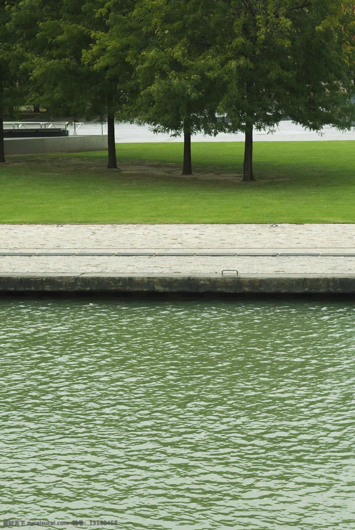 自然风光摄影 河流 水 草地 道路 大树 植物 自然风光 公园 花草树木 生物世界 黑色