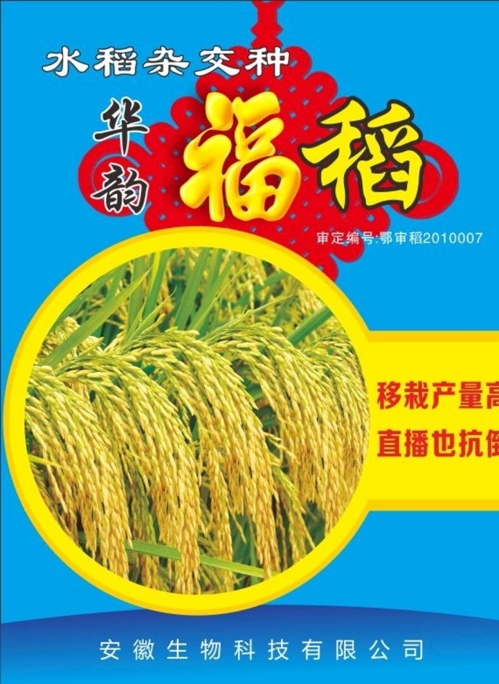 水稻彩页 水稻 彩页 单页 水稻封面 封面 小麦宣传画 dm宣传单