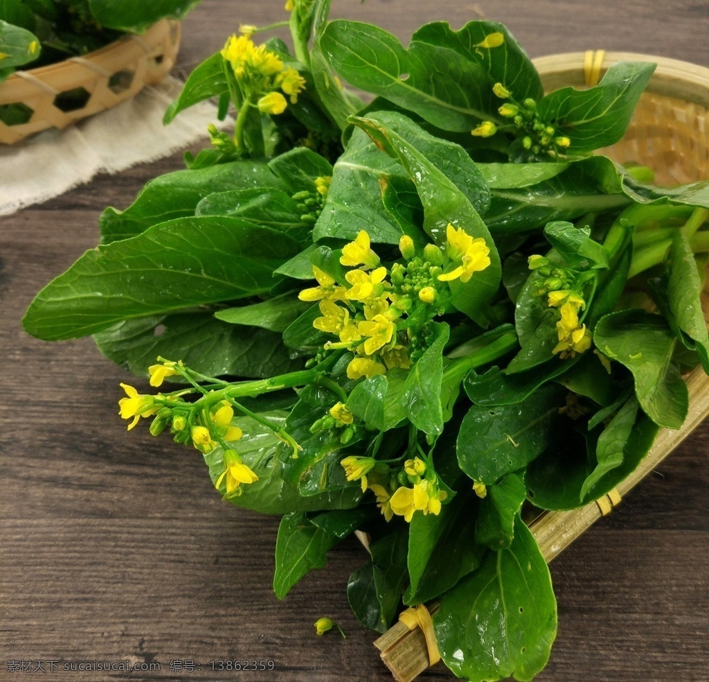 菜心苗 菜心 菜花 小菜花 菜苔 生物世界 蔬菜