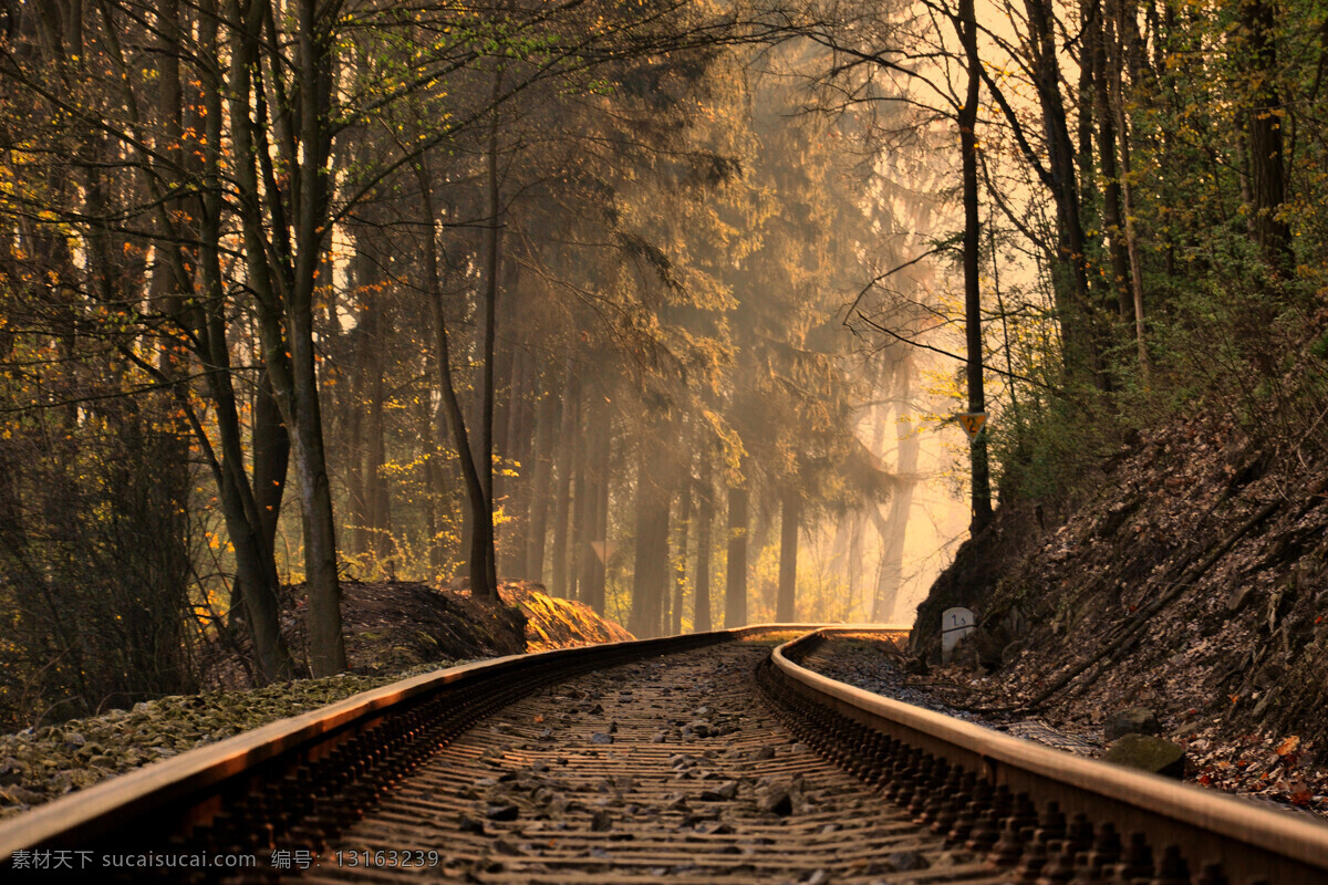 森林中的铁路 铁路 森林 山林 火车 建筑 凄凉 自然风景 自然景观 黑色