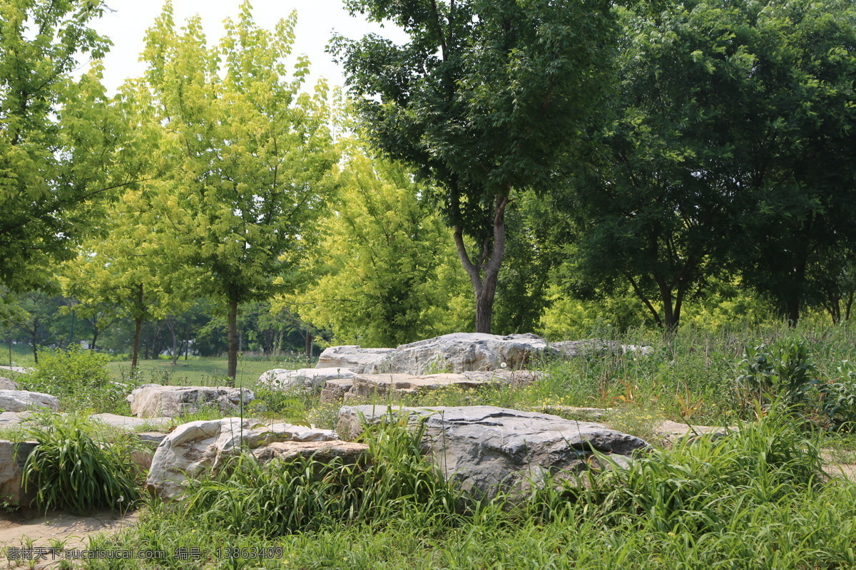 绿化景观 树林 山石 草地 绿地 绿树 花卉 树木 园林景观 风景 装饰画 建筑园林 园林建筑