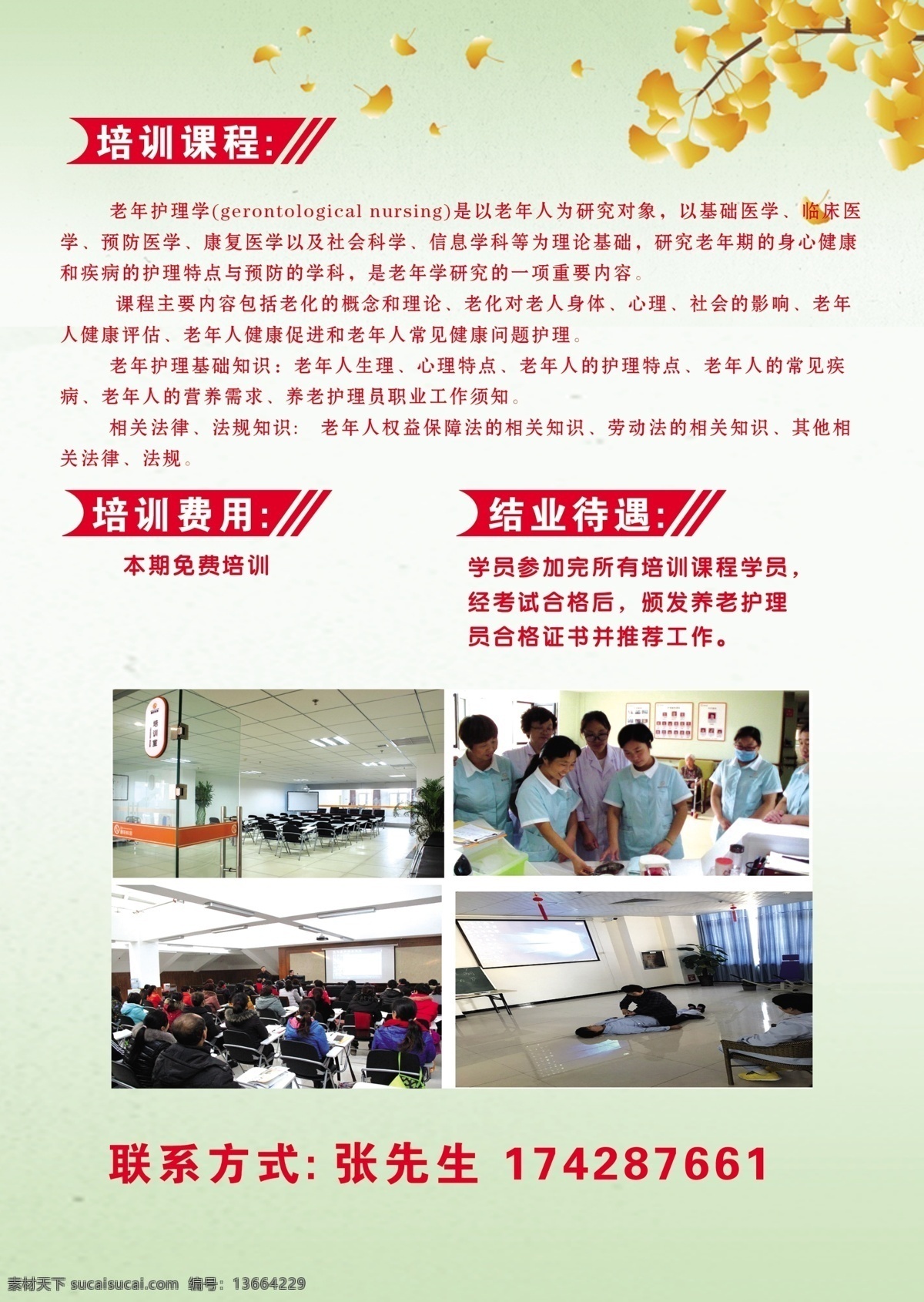 招生简章图片 养老 护理 招生 简章 绿色