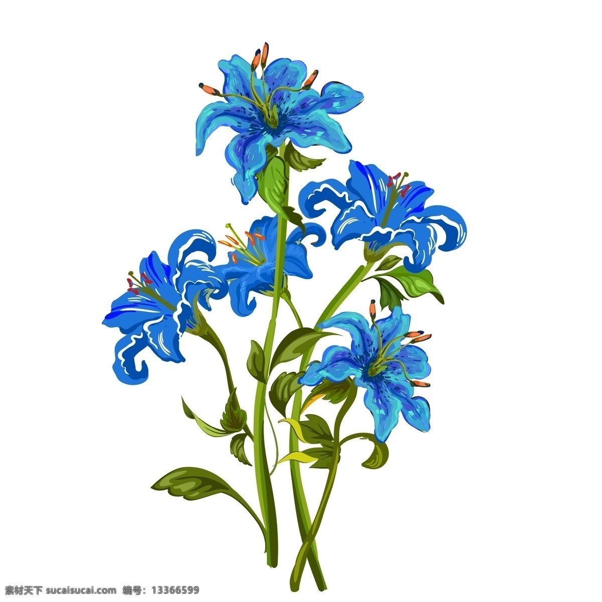 手绘 水彩 清新 蓝色 花卉 花朵 植物 绿叶 盆景