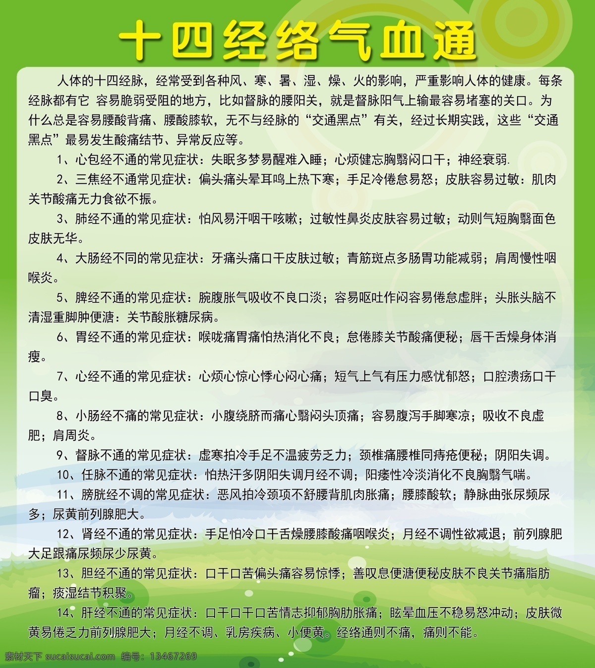 十四 经络 气血通 美容 美容院 分层