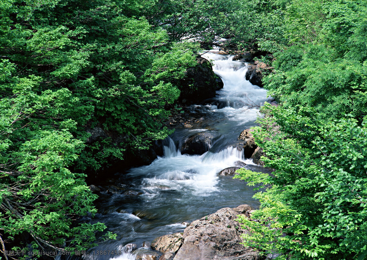 美丽 小溪 美丽风景 自然风景 风景摄影 大自然 美景 景色 树林 河流 溪水 山水风景 风景图片